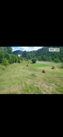 Продажа земельного участка Для сельскохозяйственной деятельности площадь 21 сот Бандери 17 Либохора (Сколивський район)