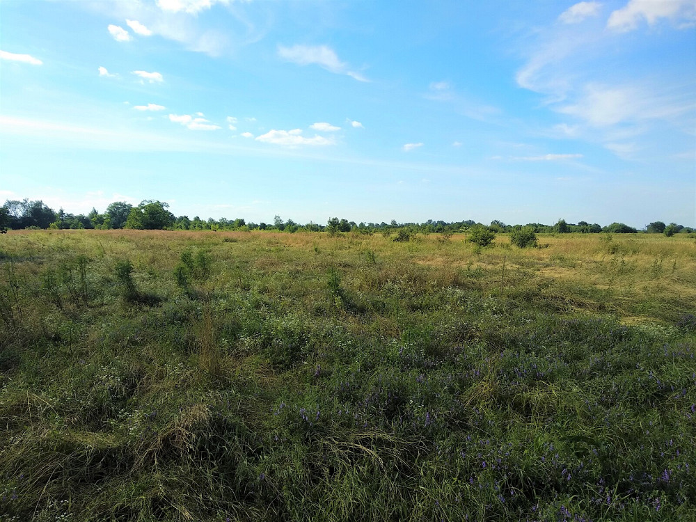 Продаж земельної ділянки 19 соток на Урочище за Оленою Вовковою  - photo 7