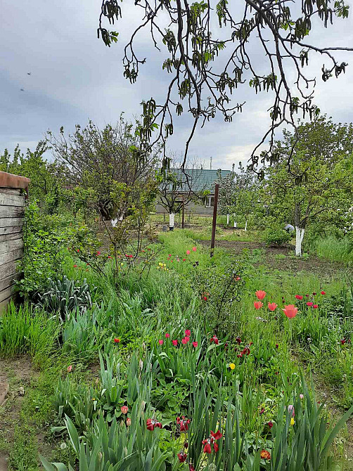 Жилой дом в селе Дачное Dachne - photo 1