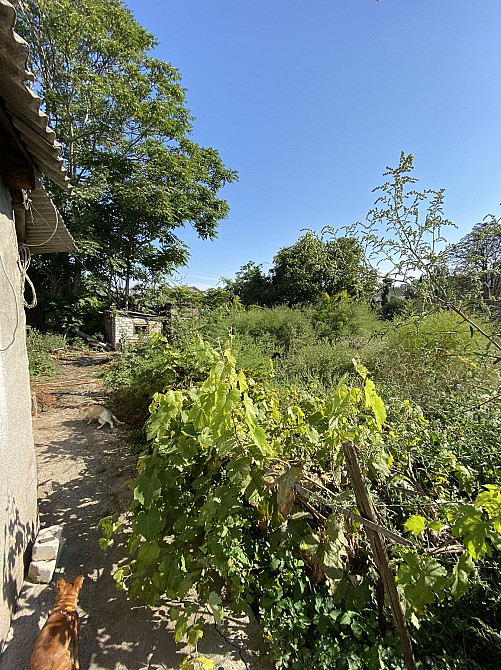 родам БОЛЬШУЮ  КВАРТИРУ на Новосельского/Л.Толстого Одеса - фото 2