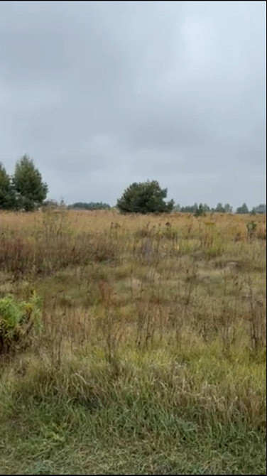 Продаж земельної ділянки 15 соток Козлин - изображение 5