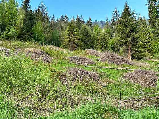 Продаж Квартира на улица Під митою 21 Орявчик