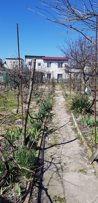 Дача  на морском побережье. Затока - фото 6