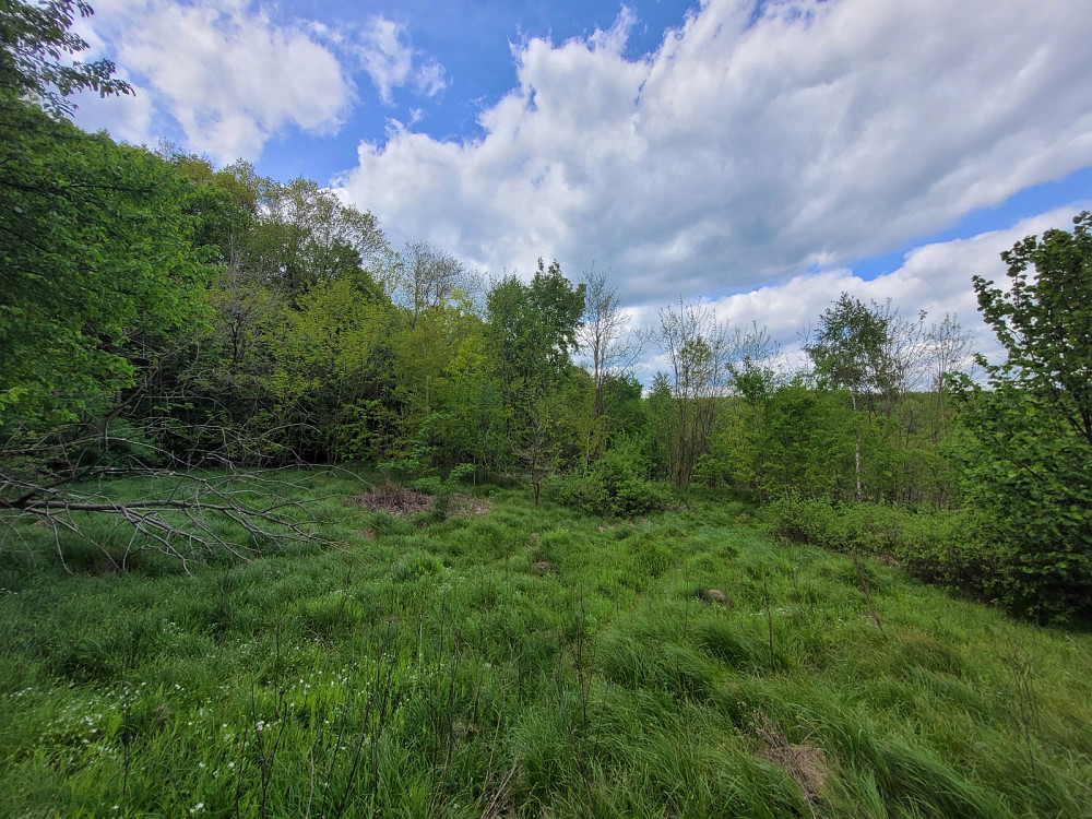 Продаж земельної ділянки 25 соток на Франка Pavlivka - photo 12