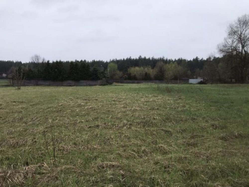 Продаж земельної ділянки 41 соток на Комсомольская Проців - фото 3