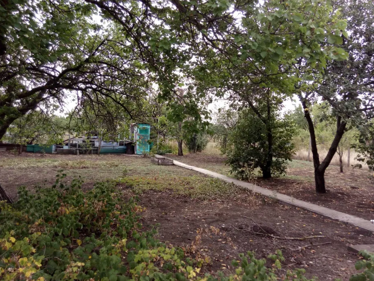 Продам дачу на берегу Хаджибеевского лимана (р-н с.Палиево) Єгорівка - фото 6