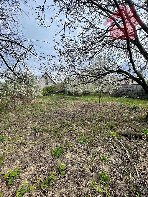 Продаж земельної ділянки 16 соток Розівка - фото 4