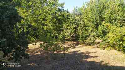 Продаж земельної ділянки 0.2 соток на ул. Веселая, 17 Усатове