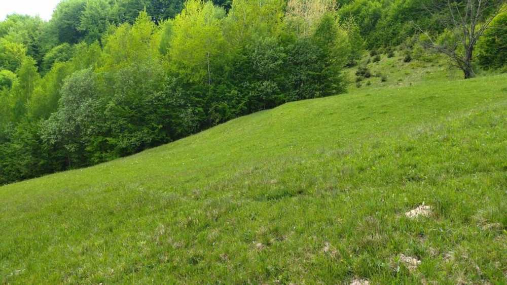 Продаж Будинок Болехів - фото 8