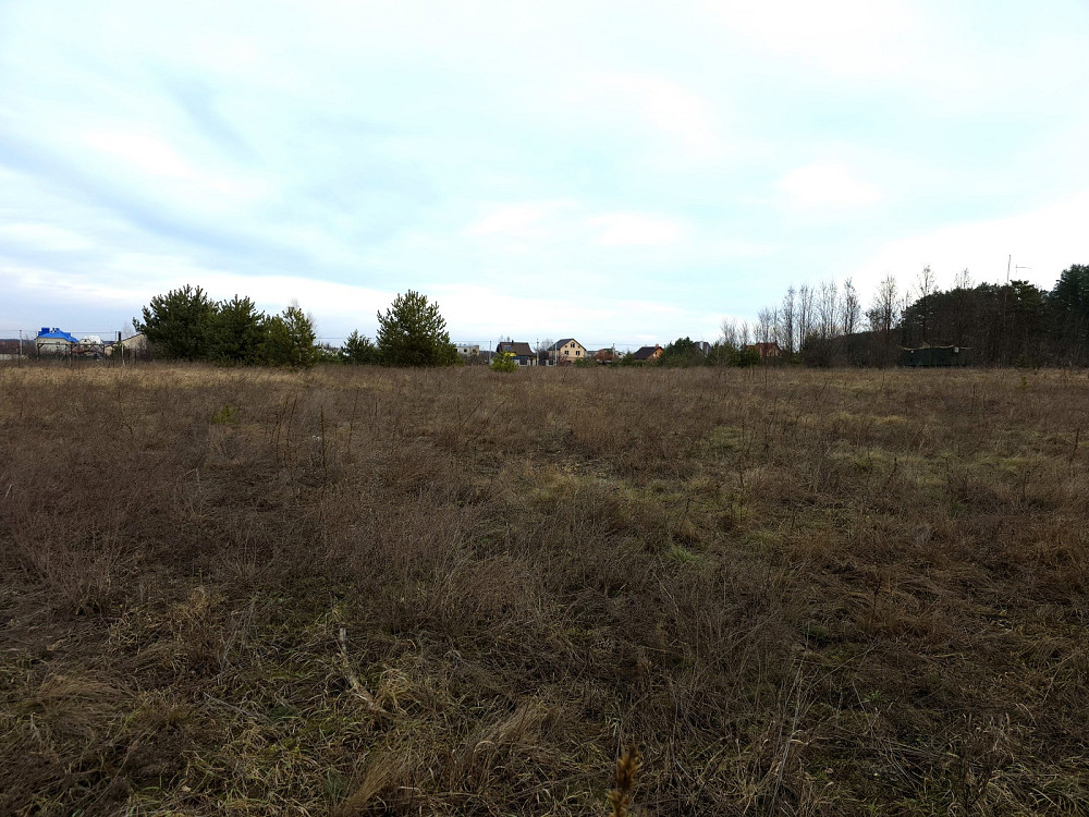 Продаж земельної ділянки 17.5 соток на Бердичівський пров. Пряжев - изображение 5