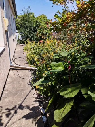 For sale 1-storey House  66 sq.m 3 rooms at Молодежная Fontanka