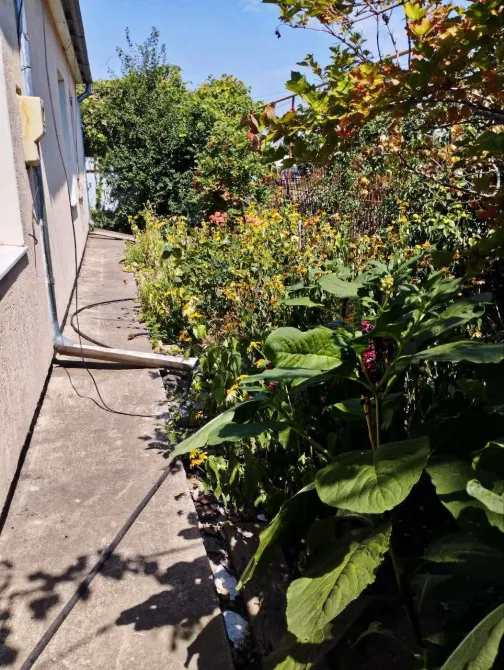 For sale 1-storey House  66 sq.m 3 rooms at Молодежная Fontanka - photo 4