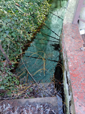 Продаж земельної ділянки 0.1 соток на массив Весняный СК "Консервщик", 61 Сухий Лиман - изображение 3