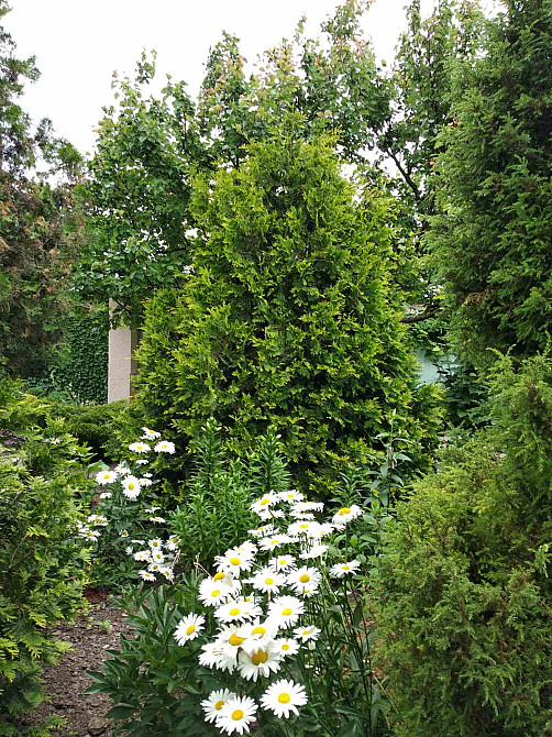 Продаж комерційне приміщення на ул. Садова, 8а приміщень - 3, поверх - 1 Курортне - фото 8