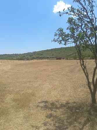 Продажа дома в с. Палиево  Одесского района Paliivka