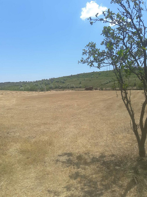 Продажа дома в с. Палиево  Одесского района Паліївка - фото 3