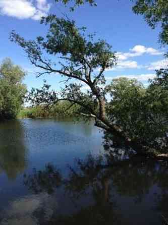 Продаж земельної ділянки 10 соток на Пирогова Бориспіль