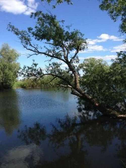 Продаж земельної ділянки 10 соток на Пирогова Бориспіль - фото 6