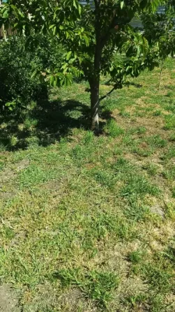 For sale land plot For the construction of a private residential building area 10 ares Энтузиастов Nerubaiske - photo 2