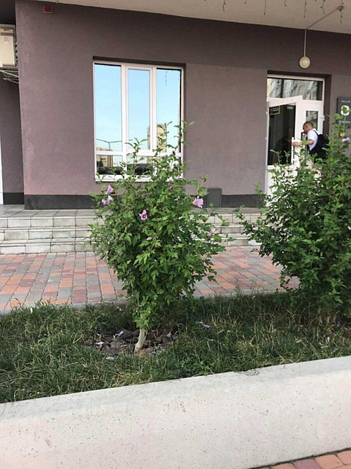 Продаж Квартира 2-кімнатна, 3/26 поверх на Каховська, 62А Київ - фото 1