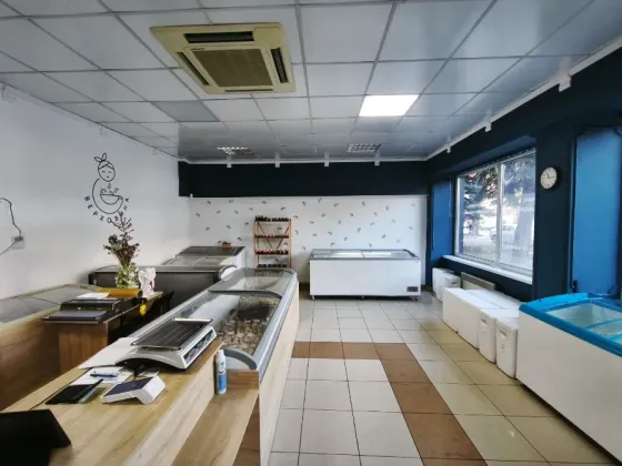 Продаж Приміщення в житловому будинку площа 81 кв.м 1-й поверх на Льва Толвстого 31 Ужгород