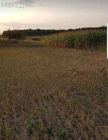 Продаж Будинок Shliakhtyntsi