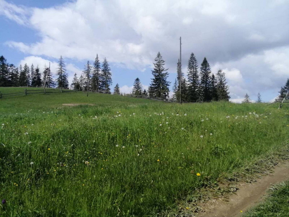 Продаж земельної ділянки 33 соток на Івана-Франка Ворохта - фото 7