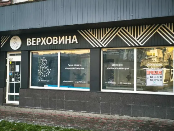 Продаж Приміщення в житловому будинку площа 81 кв.м 1-й поверх на Льва Толвстого 31 Ужгород