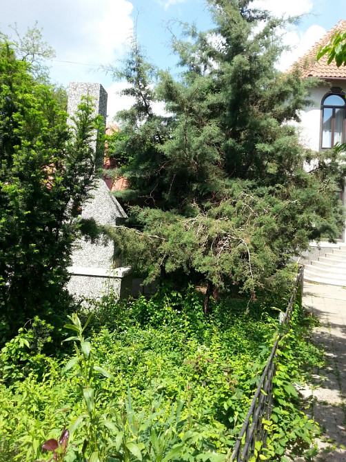 Продаж комерційне приміщення на ул. Педагогическая, 21 приміщень - 3, поверх - 1 Одеса - фото 10