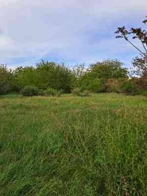 Продаж земельної ділянки 0.5 соток на ул. Черноморцев, 55а Сухий Лиман