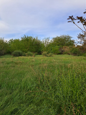 Продаж земельної ділянки 0.5 соток на ул. Черноморцев, 55а Сухий Лиман - изображение 6