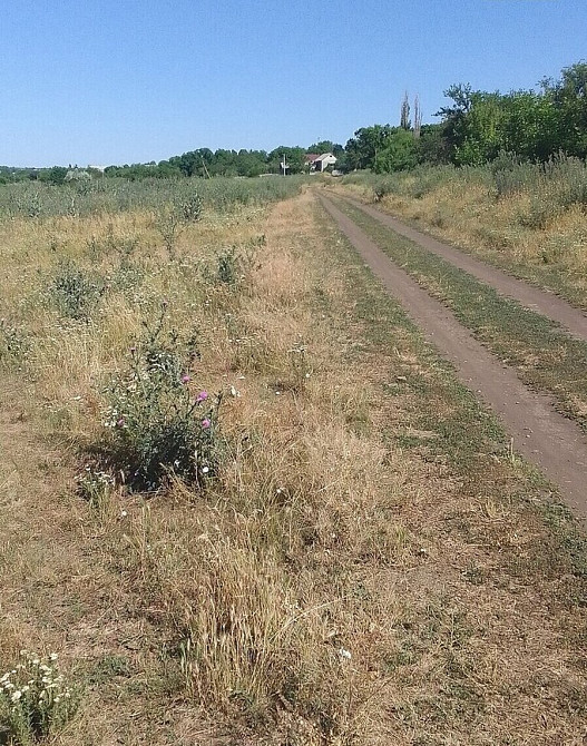 Продаж земельної ділянки 12 соток Бережинка (Кіровоградський район) - фото 2