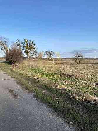 Продаж земельної ділянки 20 соток на Лесная ул., 1 