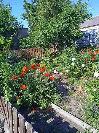 Продається будинок ,селище Нове Кропивницький