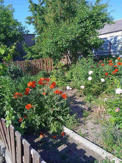 Продається будинок ,селище Нове Кропивницький - фото 2