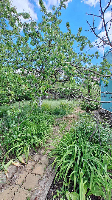 Продам летнюю дачу в пригороде Одессы , Малая Долина , кооп " Заря", вблизи озера. Молодіжне - фото 19