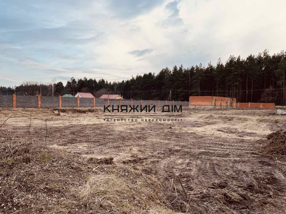 Продаж земельної ділянки 43 соток на вул. Кодівська Protsiv - photo 11