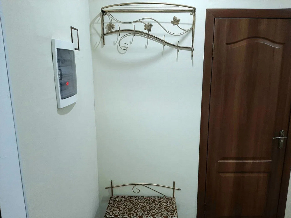 Оренда Квартира 1-кімнатна, 4/12 поверх на Камянська, 127 Київ - фото 9