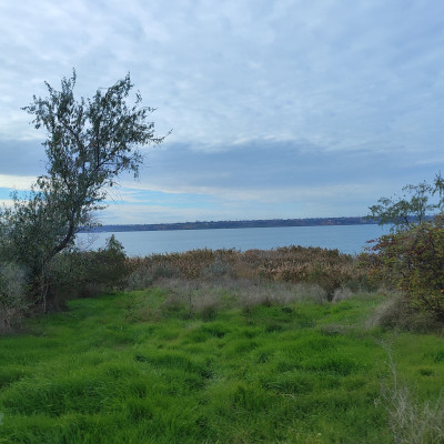 Продаж земельної ділянки 0 соток на ул. Массив 36, 6 Августівка - фото 16