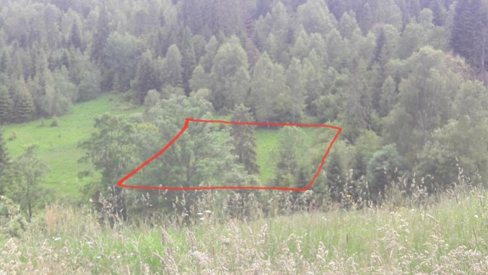 Продаж Квартира на улица Франка 13 Орявчик - изображение 1