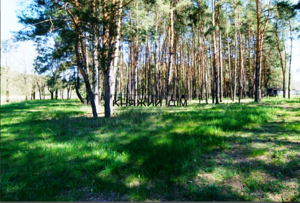 Гавронщина, гектар леса и озера с домом 250 м2 Гавронщина - фото 18