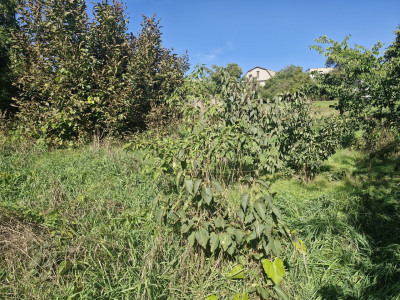 Продаж земельної ділянки 8 соток на ул. Новонерубайская, 4а Нерубайське - фото 8