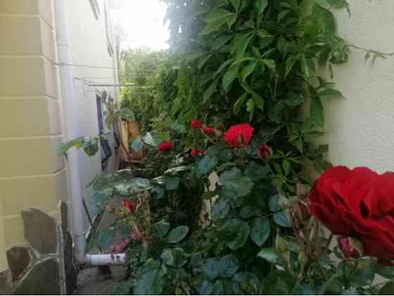 Продаж Будинок на Дача Ковалевского ул. Одесса