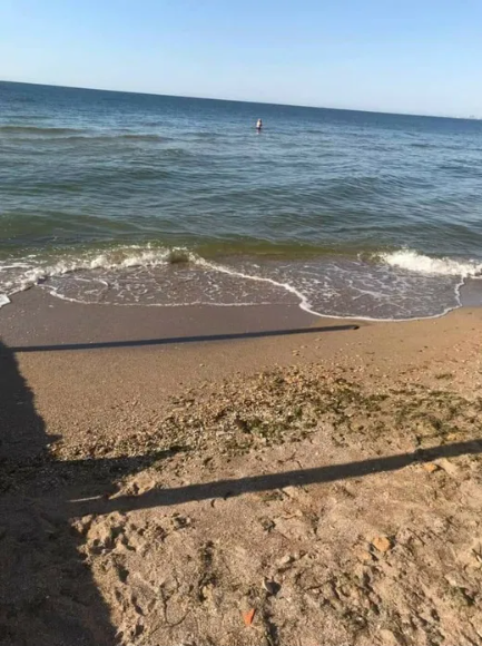 Продам домик у моря в Новой Дофиновке Нова Дофінівка - фото 20