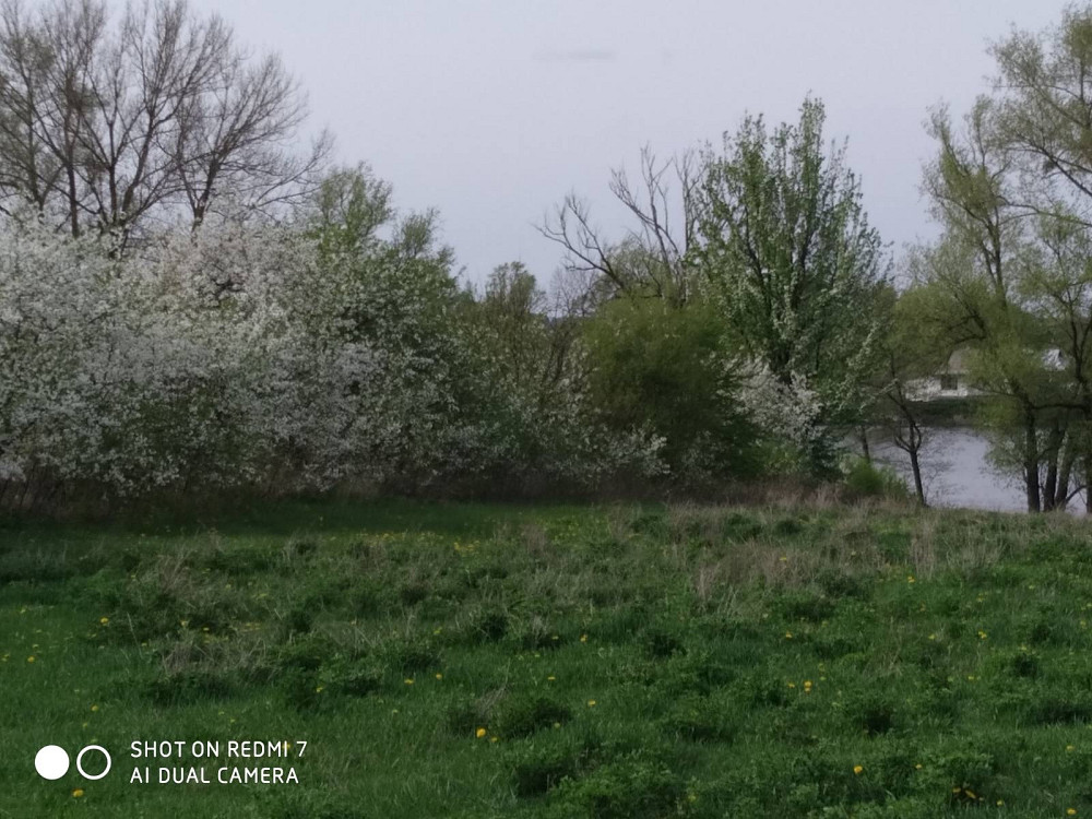 Продаж Будинок Вахнівка - фото 3