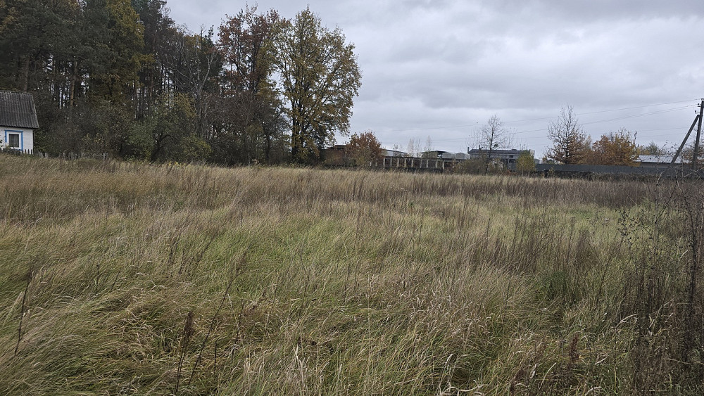 Продаж земельної ділянки 15 соток на Михайла Клименка Ивановка (Баранивський район) - изображение 8