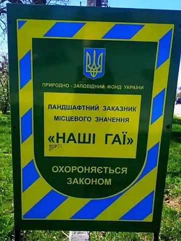 Продажа земельного участка  площадь 46 сот Лісова вулиця  - изображение 8