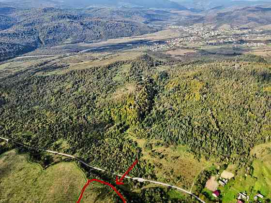 Продаж земельної ділянки 6 га Ямельниця