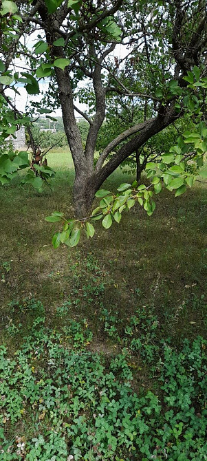 Продаж земельної ділянки 12 соток на АН Купи Дім Кропивницький - фото 3