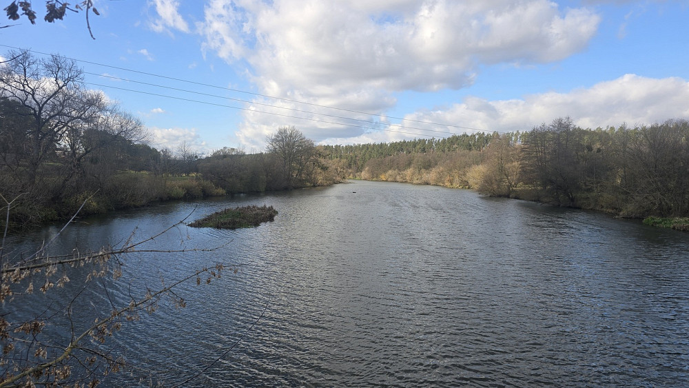 Продаж земельної ділянки 12.8 соток на Петра Соломка Быстри - фото 1